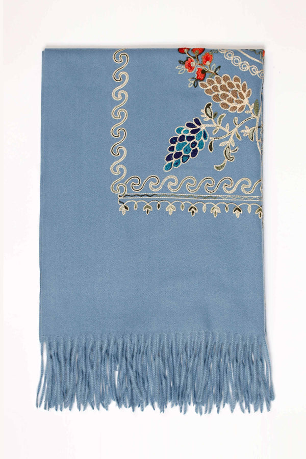 Blue Women Shawl-440362108