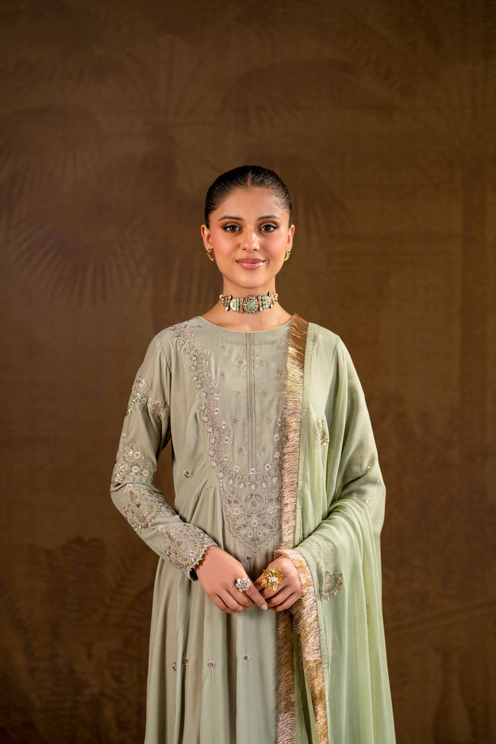 2 Piece Grey Bemberg Chiffon & Velvet Embroidered Suit