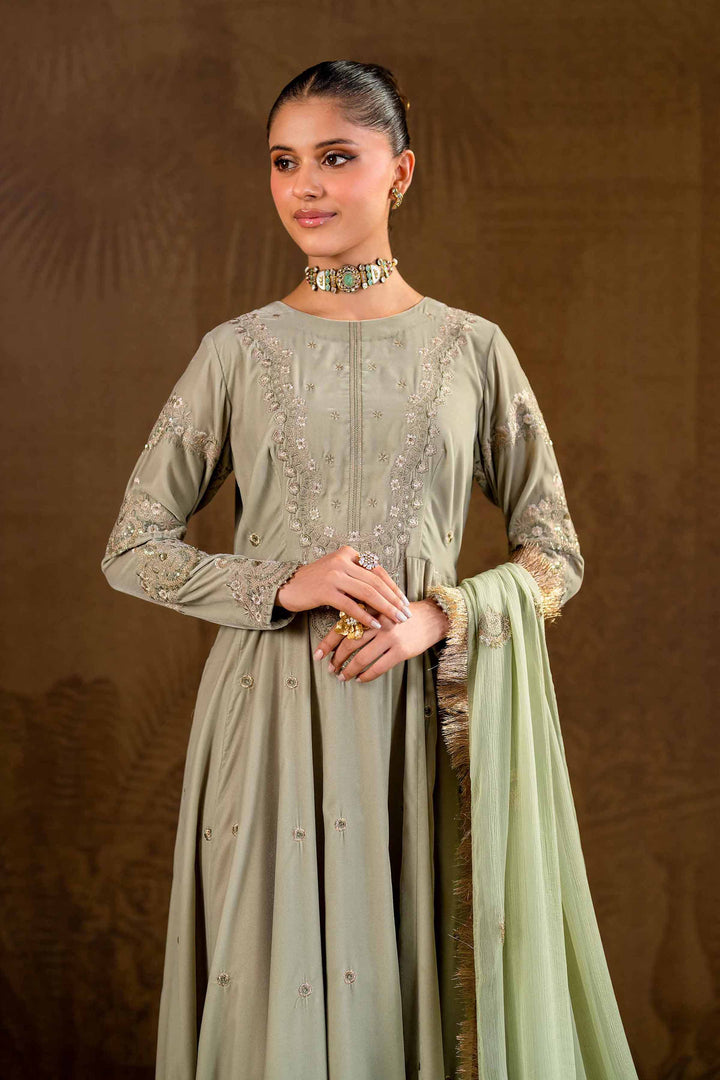 2 Piece Grey Bemberg Chiffon & Velvet Embroidered Suit