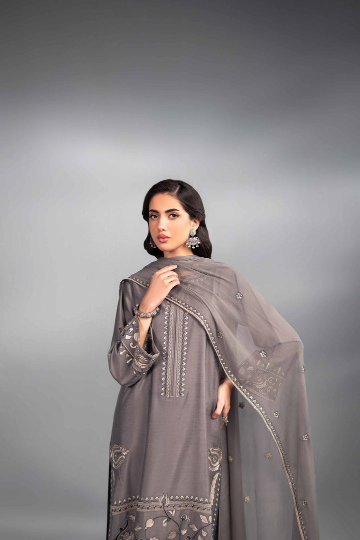 3 Piece Bemberg Chiffon & Matka Silk Wintet Suit