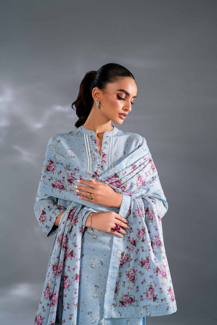 3 Piece Sky Blue Printed Karandi Winter Suit