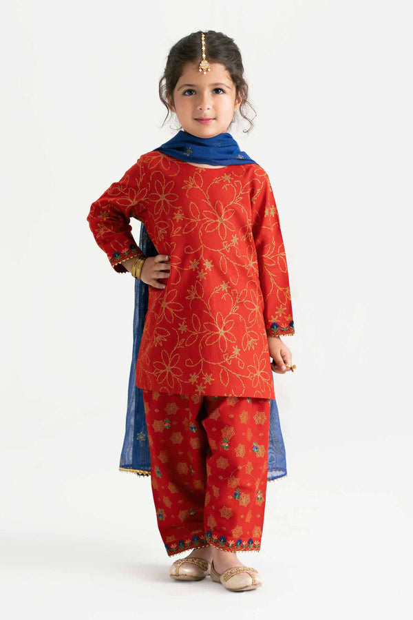 3 Piece - Printed Embroidered Suit - PMD25-03 D