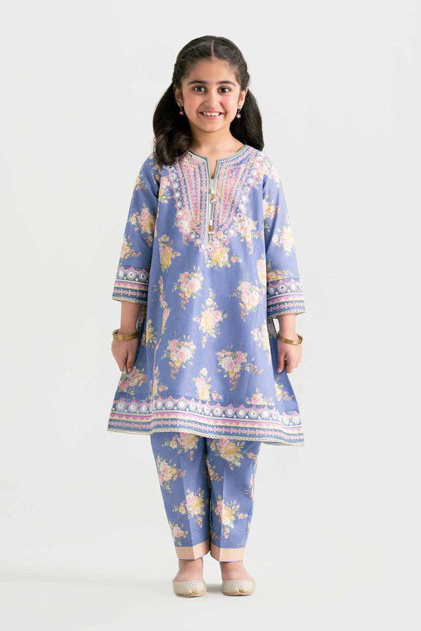 2 Piece - Printed Embroidered Suit - PMD25-20 D